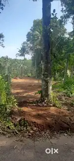 Plot for sale near  Karipoor, Nedumangad,Tvm(15 cent)