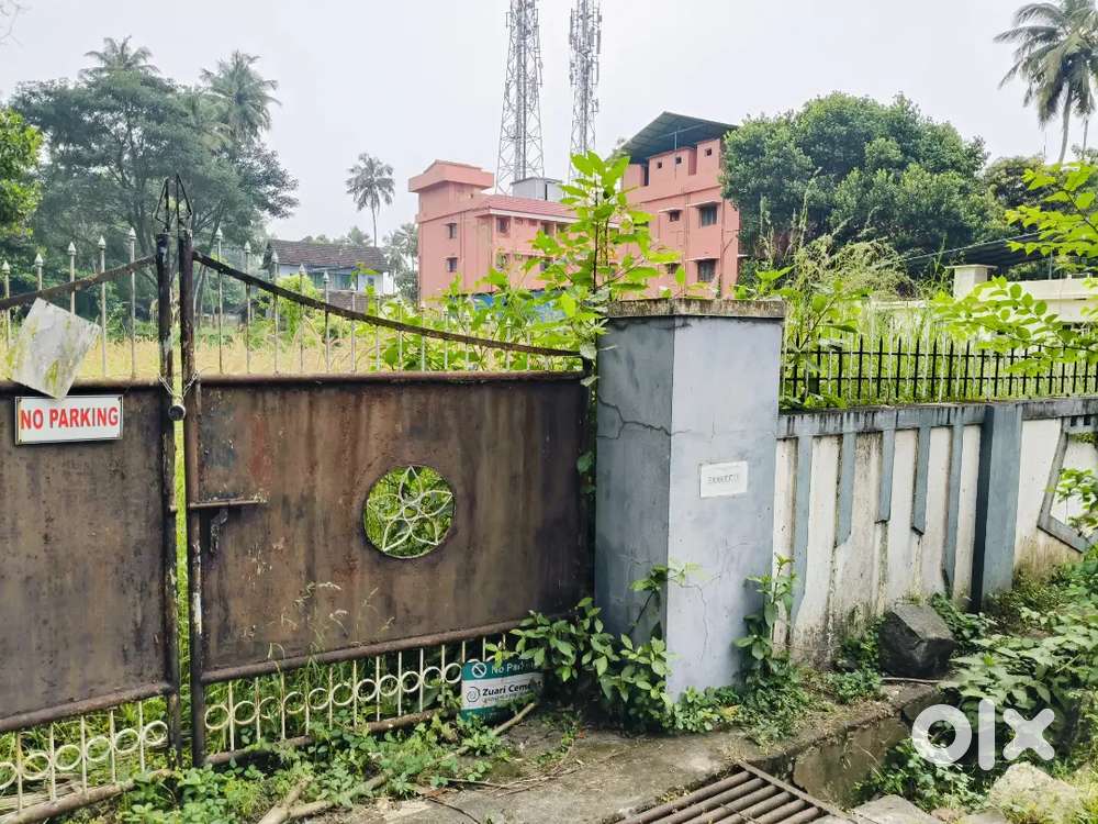 6 Cents Square Lorry Acess prime property for Sale in chenkottukonam.