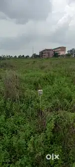 Open plot situated at chitta wadi