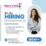 Sales & marketing executive