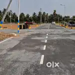 Mettupalayam Road veerapandi near DTCP plots for sale