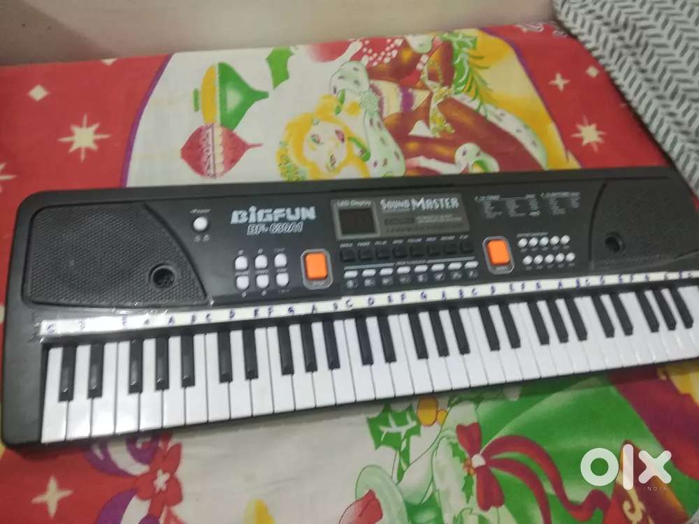 Bigfun BF - 630A1 electronic piano