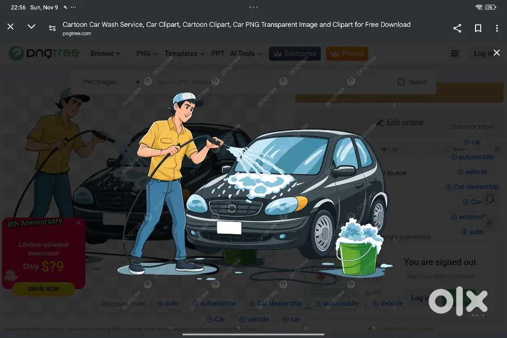 Vehicle detailing staff