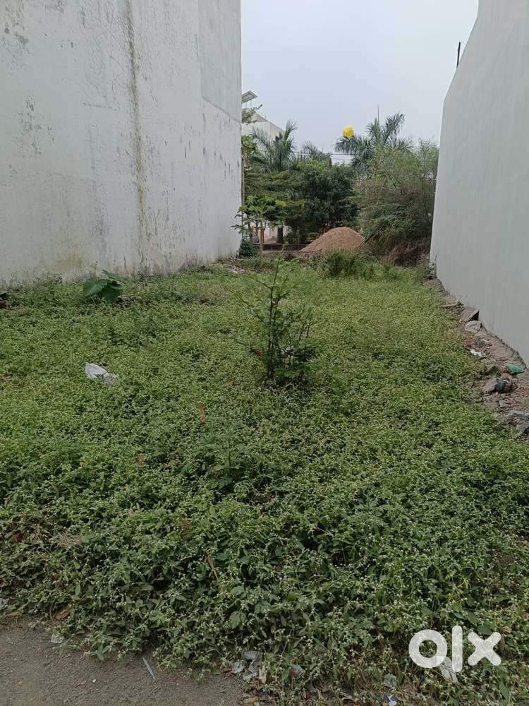 Rajbag colony Ratlam Madhya Pradesh