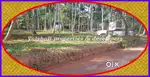 20 cents Commercial plot for sale in near Nadakkavu