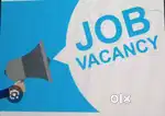 Office Assistant cum administration
