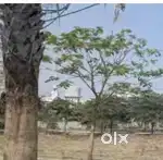 Plot for sale