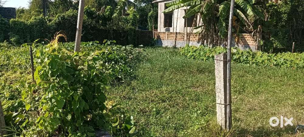 Chancoori road shivshankar lane 3 khatha plot for sale