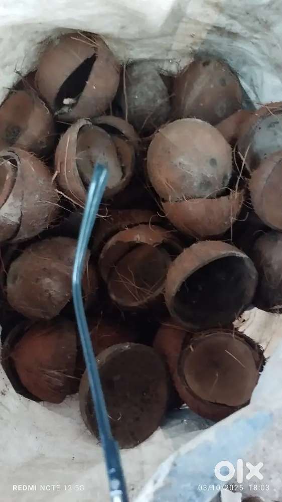 Coconut shell (ചിരട്ടകൾ വിൽക്കാനുണ്ട്. ആവശ്യമുള്ളവർ ബന്ധപ്പെടുക)