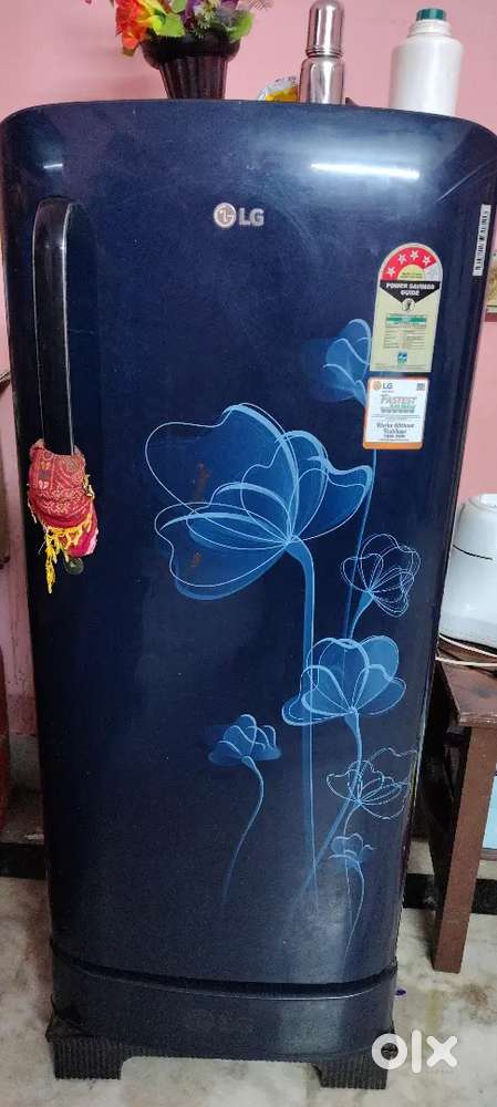 Lg fridge with 4 star rating