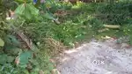 Squre plot for sale