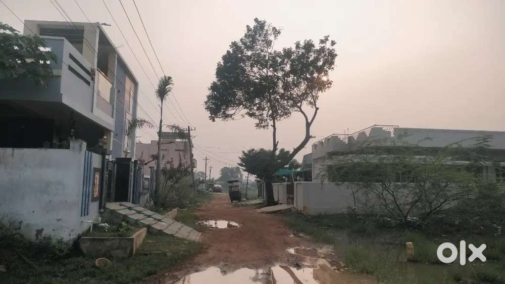 AYYAPAGUDI SHANTI NAGAR 30 FEET ROAD 33 ANK SITE PER ANK COST1.7 LAKHS