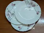 Borosil opal glass 7 plate set (4 large, 3 small) crockery item