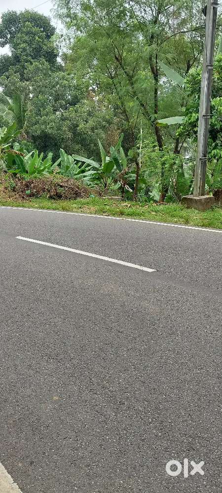 Mundakayam varikani plot