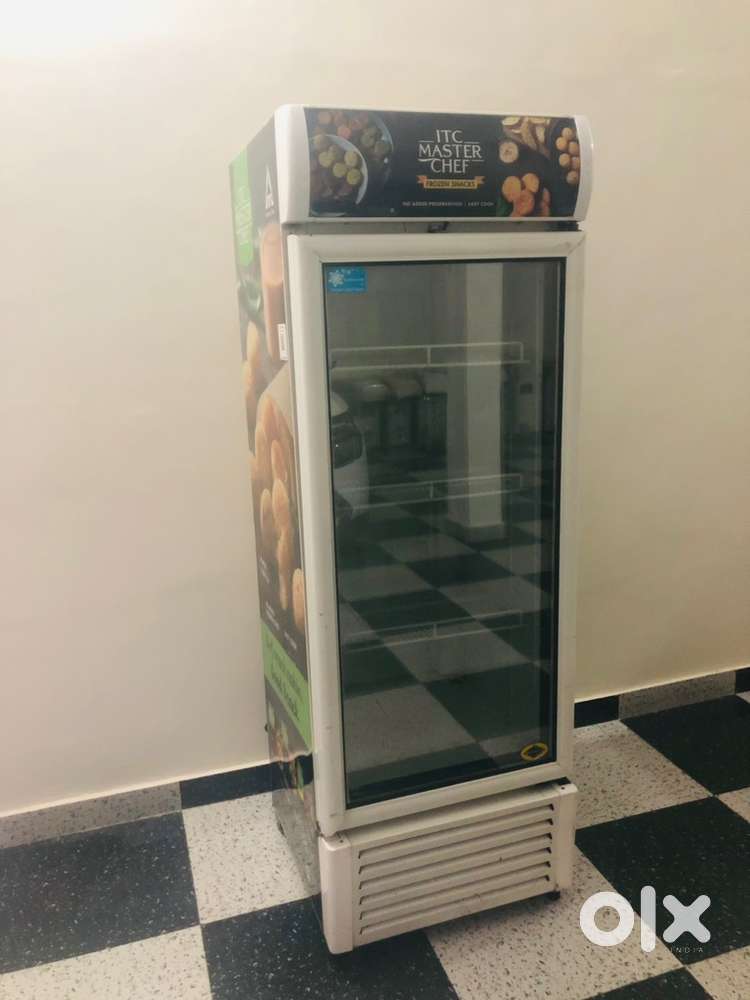 Western company 332 L frozen display fridge