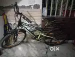 Avon cycle for 15 years age