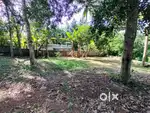 10 Cent Original dry land for Sale near Manvila Kazhakuttom