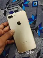 i phone 7 plus  back camera shake but phto is clear