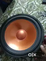 10 inch woofer
