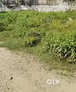 Ansal Sushant City second kalwar road