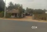 9256SQF LAND WITH TIMBER SOMIL FOR SALE