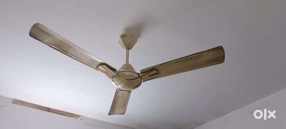 Havells cealing fan