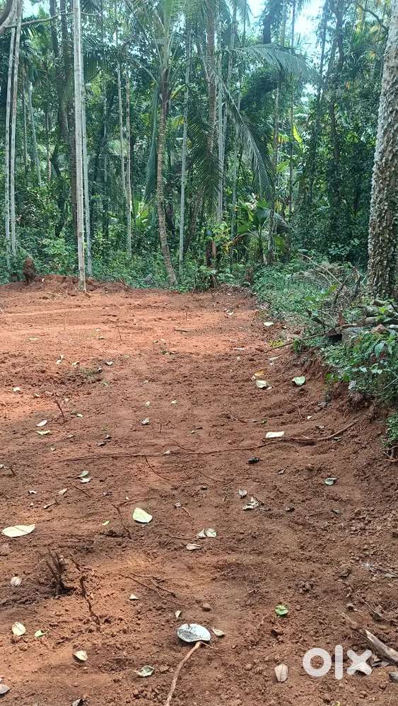 20 cent plot at Iriveri