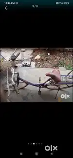 Bsl ad bird
