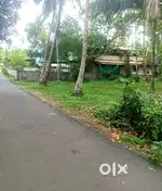 26 CENT ORGINAL LAND FOR SALE IN PARAVUR TOWN NEAR VAZHIKULANGARA
