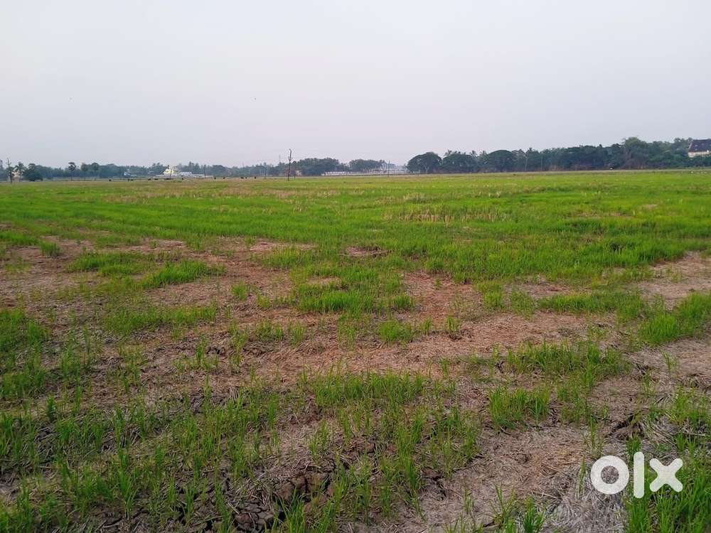 Agriculture land for sale