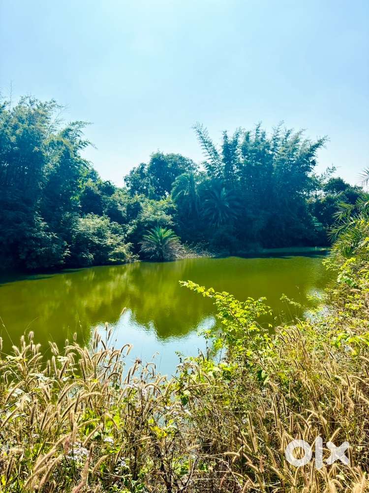 20*32 north facing corner facing top notch property