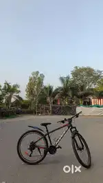 STR ROADEO BI-CYCLE