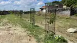 Krishna Bihar colony.  900 rupya ,sq/ft