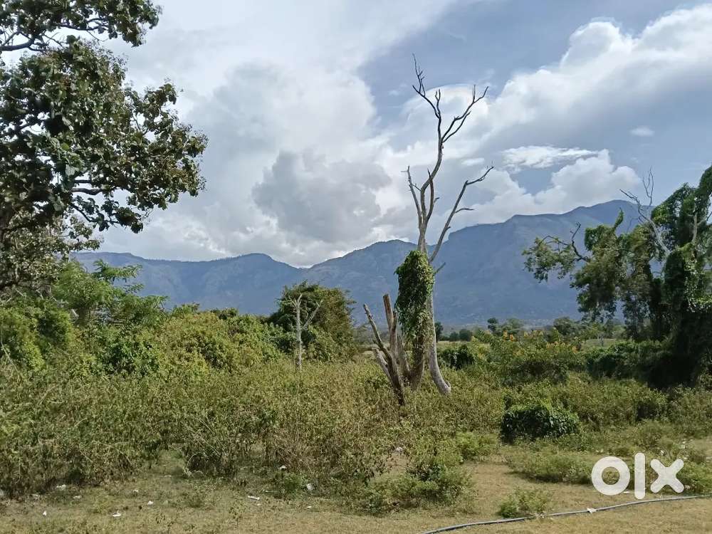 I want to sell my property at baripada