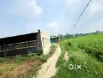 Poultry farm or any godowns