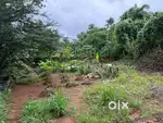 11.5 CENT SUITABLE FOR 2 BUDGET VILLAS KIZHAKKAMBALAM PATTIMATTOM