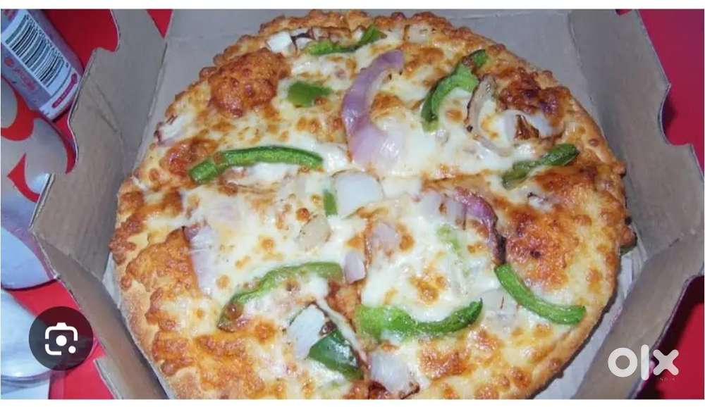 We are looking for pizza delivery executive for dominos ⁷⁰