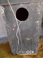 SUBWOOFER 1