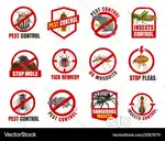 Royal care pest Control