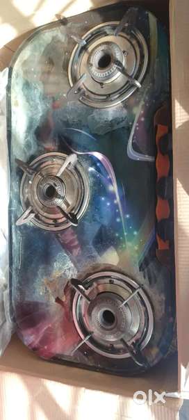 SS Gas stove