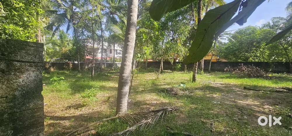 21cents For Sale Sensavious Jyothi Nilayam School 200meter distance