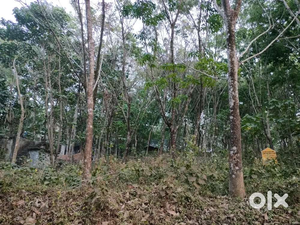 Rubber plot for sale at kallara pangode