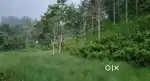 Land for sale in Munnar