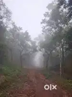 Sirumalai Farm land for sale