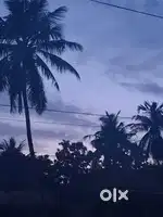 Plot for sale, 6cent Thevalakkara, padappanal