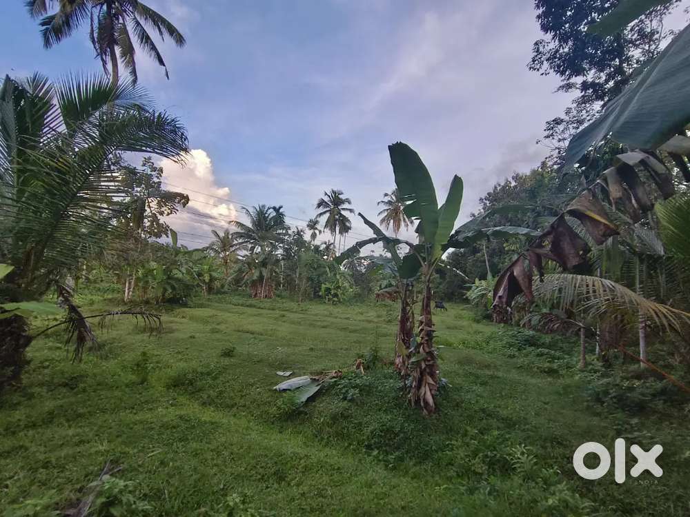 60 cent land for urgent sale