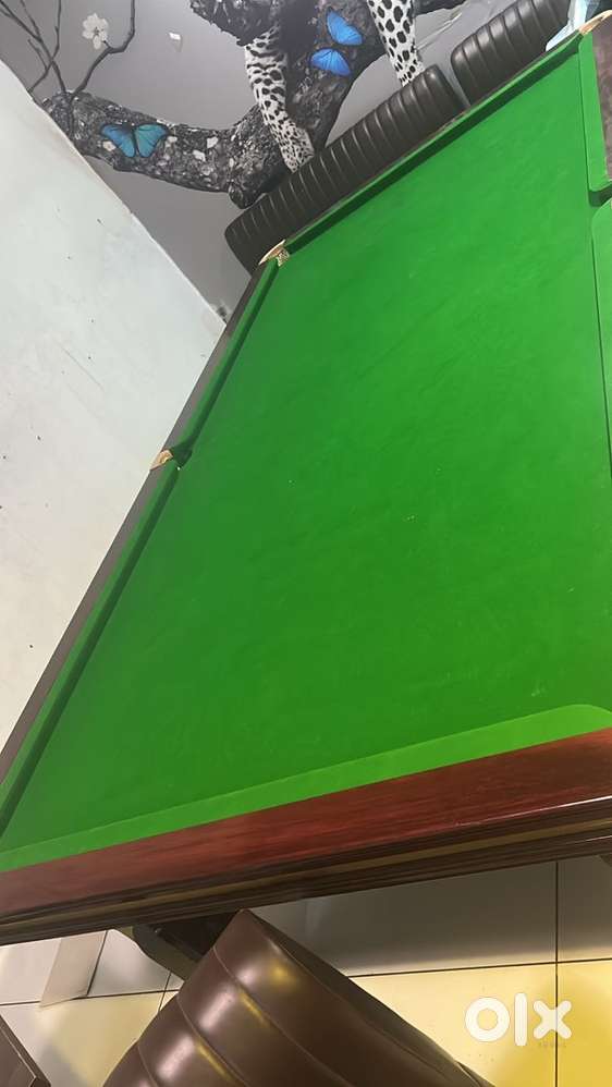 Snooker table 5*10