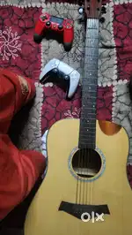 Acoustic  guitar