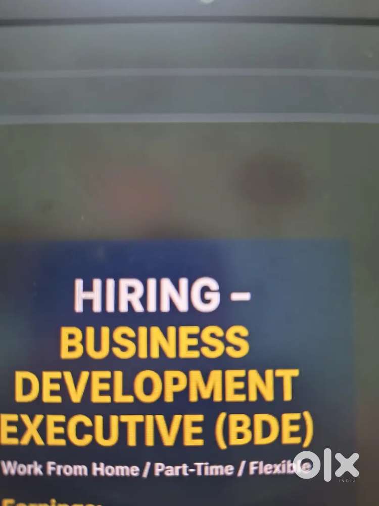 Business development executive