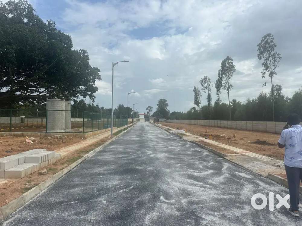 Looking for real estate executive